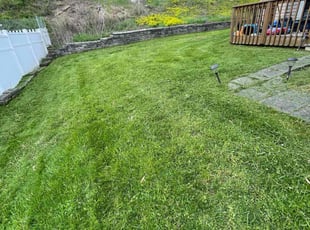 Verba W.'s Lawn Care service result