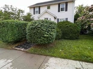 Bush Trimming by Randy Regis for Angela W. in Quincy, MA