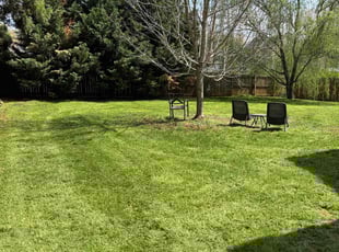 Christi K.'s Lawn Mowing service result
