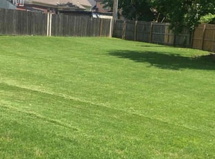 Mi J.'s Lawn Care service result