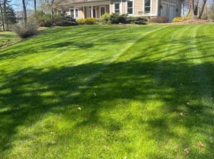 Sophiya J.'s Grass Cutting service result