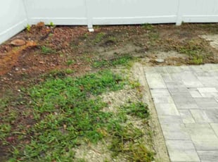 Cleanups by Stephen Peffly for Mark D. in St. Petersburg, FL