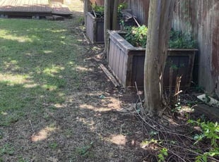 Bush Trimming by Keily Delgado Preciado for Janelle P. in Cedar Park, TX