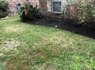 Weeding by Hugo Ayala for "Shannon T. in Tomball, TX