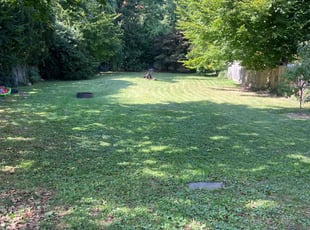 Veronica D.'s Lawn Care service result