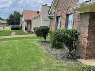 Bush Trimming by Desmond Black for Bruce B. in Memphis, TN