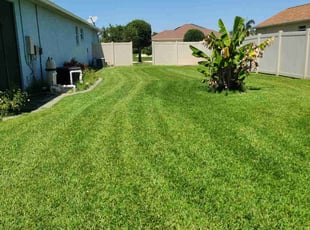 Chase M.'s Lawn Service service result