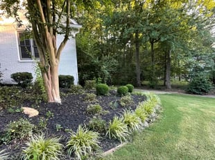 Karen S.'s Lawn Care service result