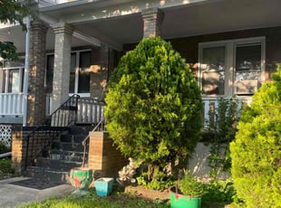 Bush Trimming by Nelly Arredondo for Bethany H. in Washington, DC