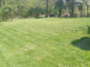Victoria T.'s Lawn Mowing service result