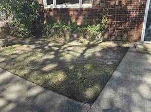 Leaf Removal by Adam Durgin for Campbell C. in Charleston, SC
