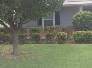Bush Trimming by Matthew Vella for Raquel C. in McKinney, TX