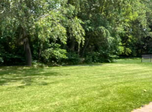 Sudha R.'s Lawn Service service result