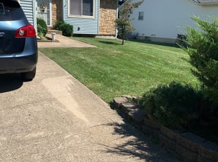 Jim S.'s Lawn Mowing service result