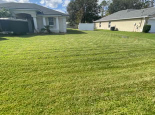 Cynthia B.'s Lawn Care service result