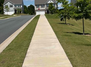 ALAN M.'s Grass Cutting service result