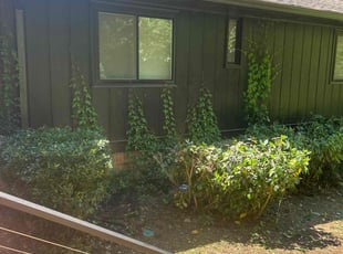 Bush Trimming by Chrishun Webber for Cassandra G. in Marietta, GA