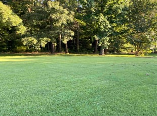 Terry L.'s Lawn Care service result