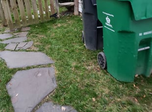 Cleanups by Matthew Headrick for Brody B. in Charlotte, NC