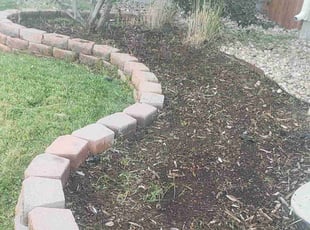 Cleanups by Alley Parker for Ashaun D. in Denver, CO