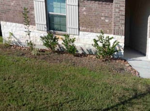 Weeding by Thomas Dilbeck for James S. in Spring, TX