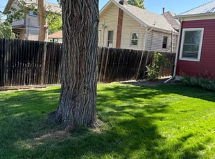 Sara G.'s Lawn Maintenance service result