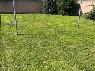 Linda F.'s Lawn Mowing service result