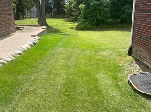 Pam P.'s Lawn Service service result