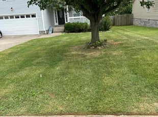 Candi G.'s Lawn Mowing service result