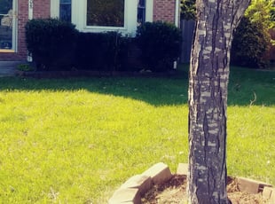Weeding by Gary Cooper for Gerry S. in Virginia Beach, VA