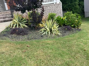 Bush Trimming by Tony Brooks III for Jay M. in Hoschton, GA