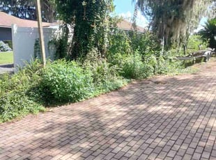 Bush Trimming by Alex Neidermeier for Carter F. in Orange Park, FL