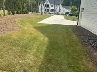 Patrick R.'s Lawn Mowing Service service result
