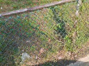 Cleanups by Jimaine Ware for Cecil G. in Pennsauken Township, NJ