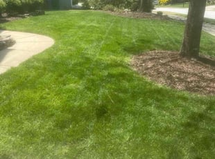 Carolyn K.'s Yard Cutting service result