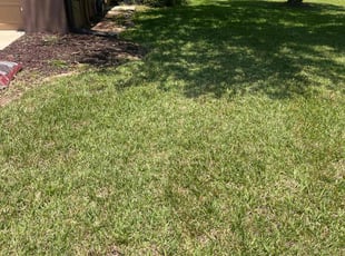 Weeding by Jessica Springer for Yvonne G. in Wesley Chapel, FL