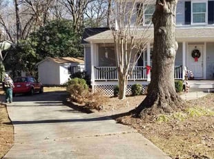Bush Trimming by James Steele for Brian B. in Matthews, NC