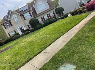 Bush Trimming by Darryl Blanchard for Angela M. in White Plains, MD