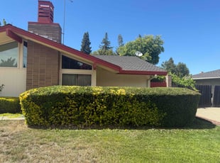 Bush Trimming by Diego Mojica for Ruth L. in Sacramento, CA