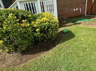 Cleanups by Fidel Rodriguez for Karen B. in Alexandria, VA