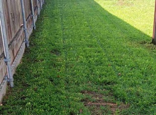 Cynthia A.'s Yard Cutting service result
