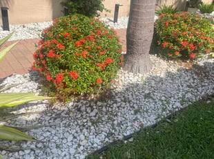 Bush Trimming by Charles Walton for Andrew S. in Boynton Beach, FL