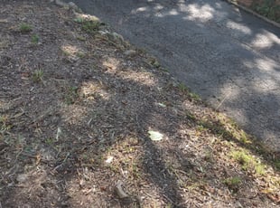 Landscaping by Chris Steinhour for Winston T. in Columbus, OH