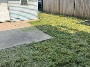 laura n.'s Lawn Mowing Service service result