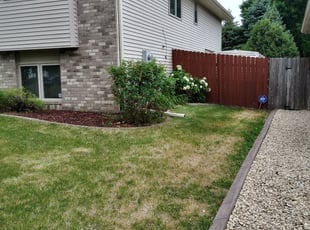 Bush Trimming by Ross Olin for Anthony H. in Brooklyn Park, MN