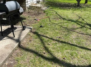 Leaf Removal by Ryan Cooper for Datisia M. in Grand Rapids, MI