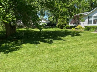 Caressa E.'s Grass Cutting service result