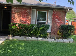 Bush Trimming by Daniel Mora for Curtis S. in San Antonio, TX