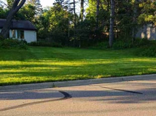 Davida B.'s Lawn Service service result