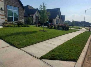 Cynthia A.'s Grass Cutting service result